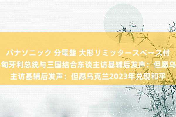 パナソニック 分電盤 大形リミッタースペース付 露出・半埋込両用形 匈牙利总统与三国结合东谈主访基辅后发声：但愿乌克兰2023年兑现和平