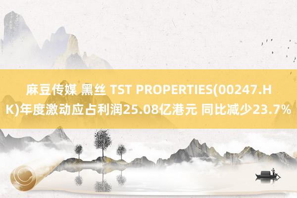 麻豆传媒 黑丝 TST PROPERTIES(00247.HK)年度激动应占利润25.08亿港元 同比减少23.7%
