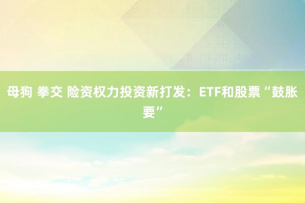 母狗 拳交 险资权力投资新打发：ETF和股票“鼓胀要”