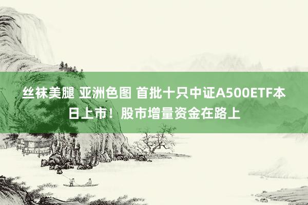 丝袜美腿 亚洲色图 首批十只中证A500ETF本日上市！股市