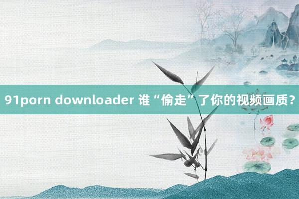 91porn downloader 谁“偷走”了你的视频画质