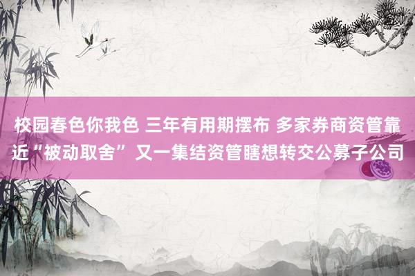 校园春色你我色 三年有用期摆布 多家券商资管靠近“被动取舍”