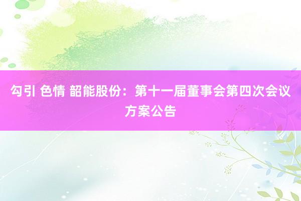 勾引 色情 韶能股份：第十一届董事会第四次会议方案公告