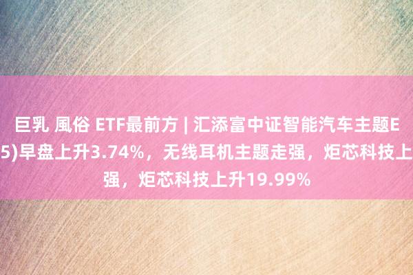 巨乳 風俗 ETF最前方 | 汇添富中证智能汽车主题ETF(