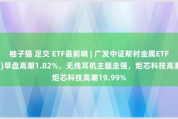 柚子猫 足交 ETF最前哨 | 广发中证帮衬金属ETF(15