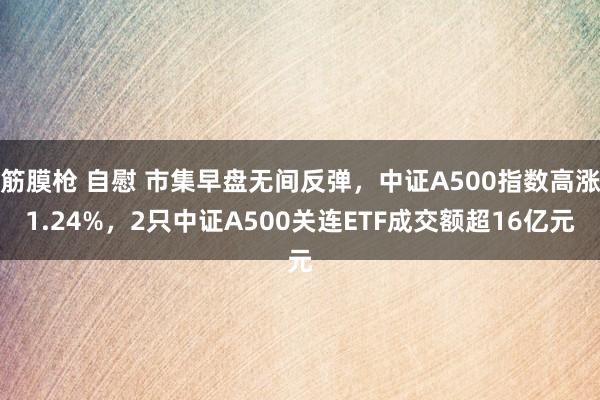 筋膜枪 自慰 市集早盘无间反弹，中证A500指数高涨1.24