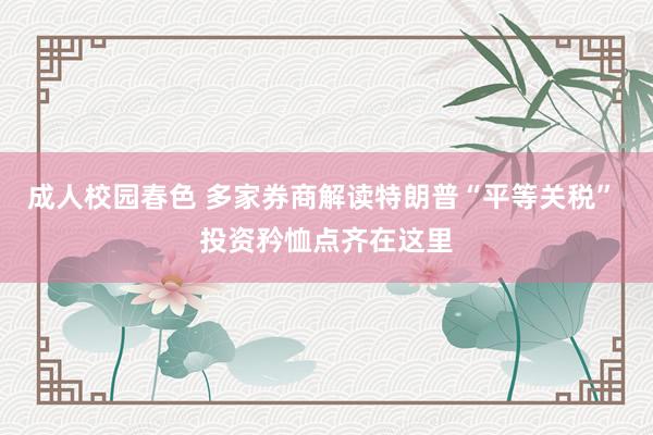 成人校园春色 多家券商解读特朗普“平等关税” 投资矜恤点齐在